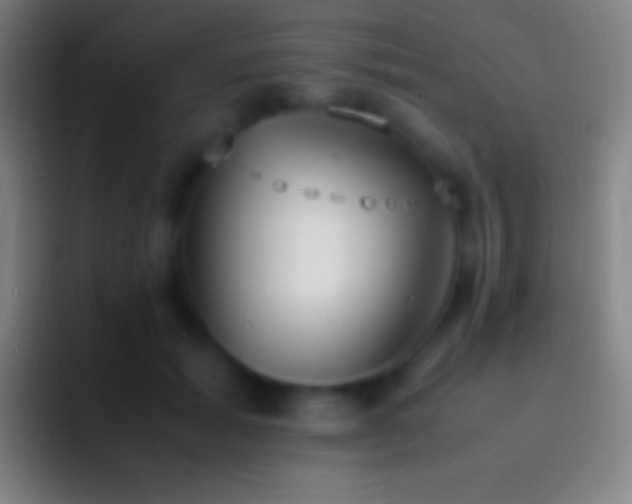 X0000092330605200709211308