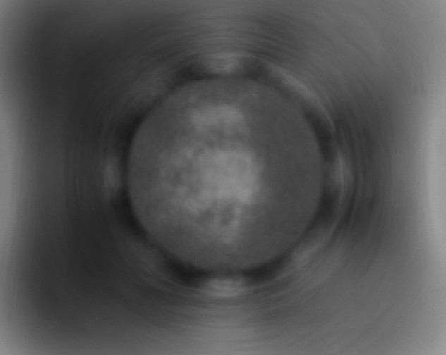 X0000092330606200709211308