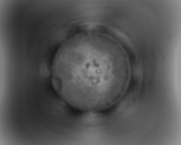 X0000092330607200709211308