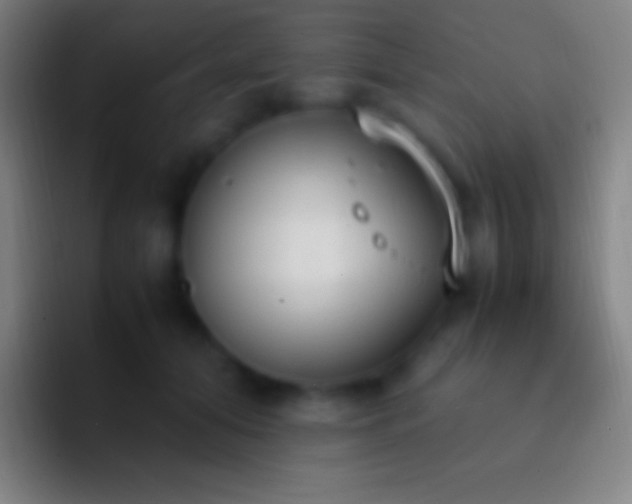 X0000092330608200709211308
