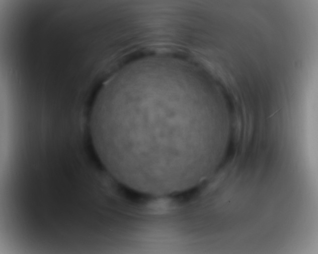 X0000092330609200709211308