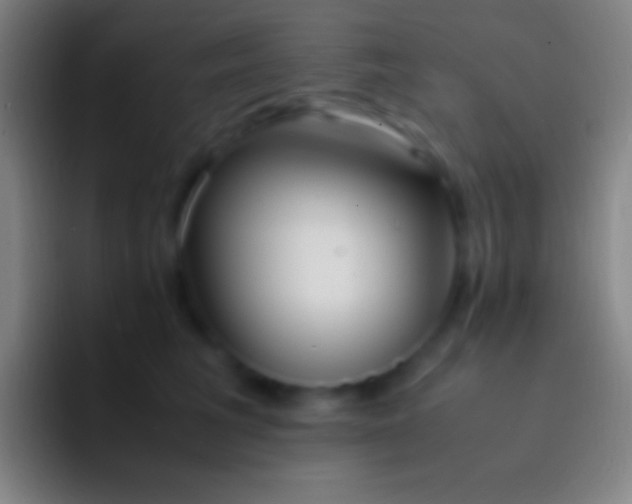 X0000092330613200709211308