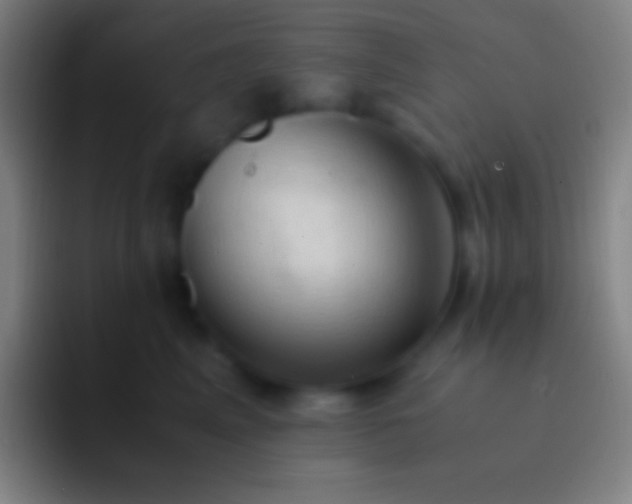 X0000092330617200709211308