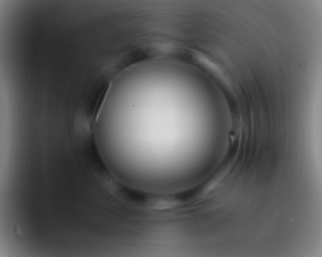 X0000092330621200709211308