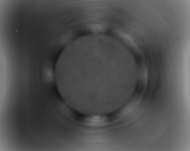 X0000092330622200709211308