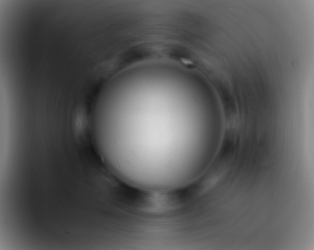 X0000092330623200709211308