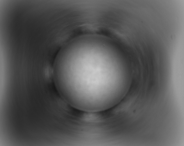 X0000092330624200709211308