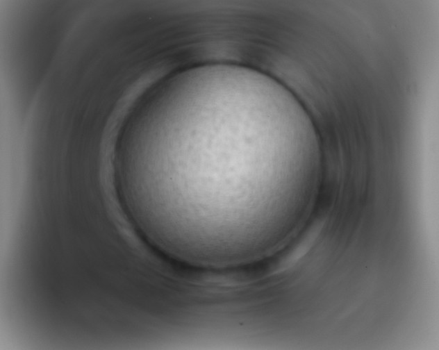 X0000092330625200709211308
