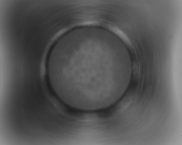 X0000092330628200709211308