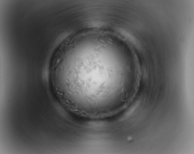 X0000092330630200709211308