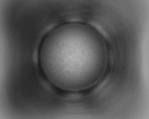 X0000092330631200709211308
