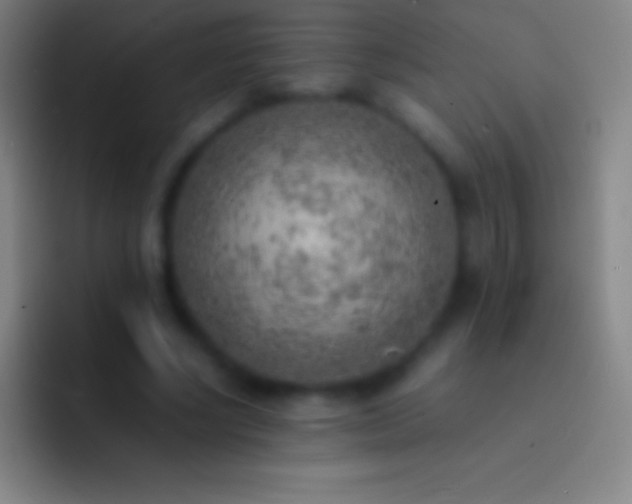 X0000092330634200709211308