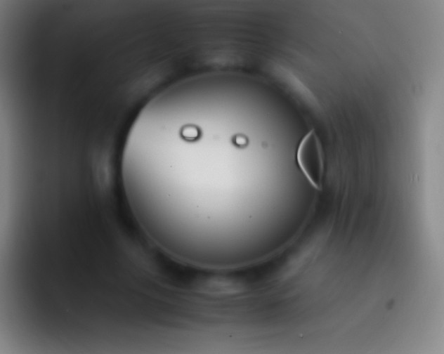 X0000092330635200709211308