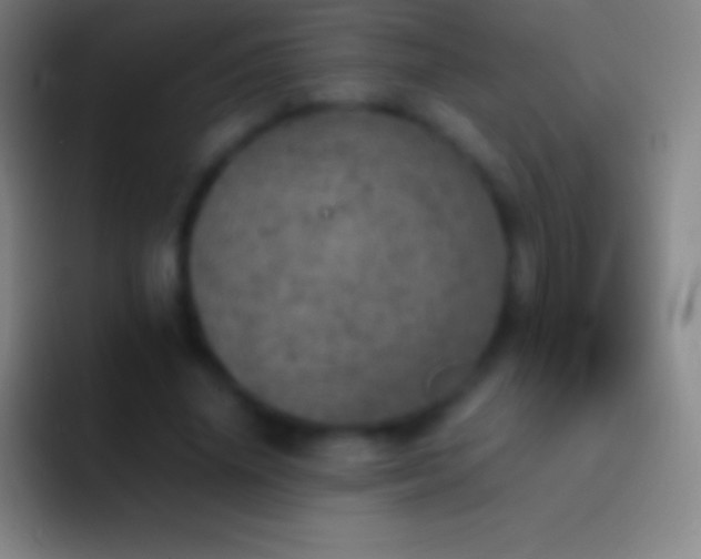X0000092330636200709211308