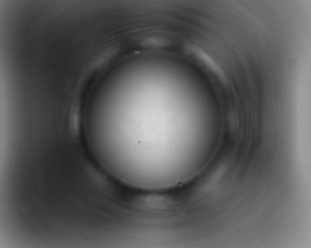 X0000092330637200709211308