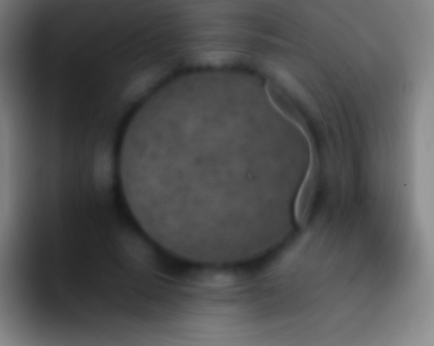 X0000092330640200709211308