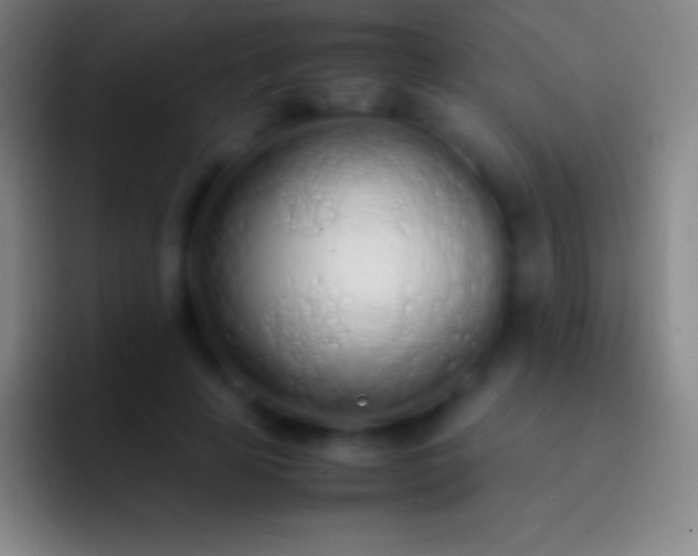 X0000092330641200709211308