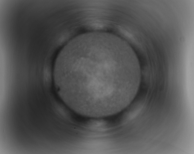 X0000092330642200709211308
