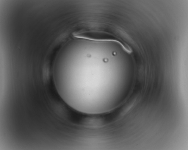 X0000092330644200709211308