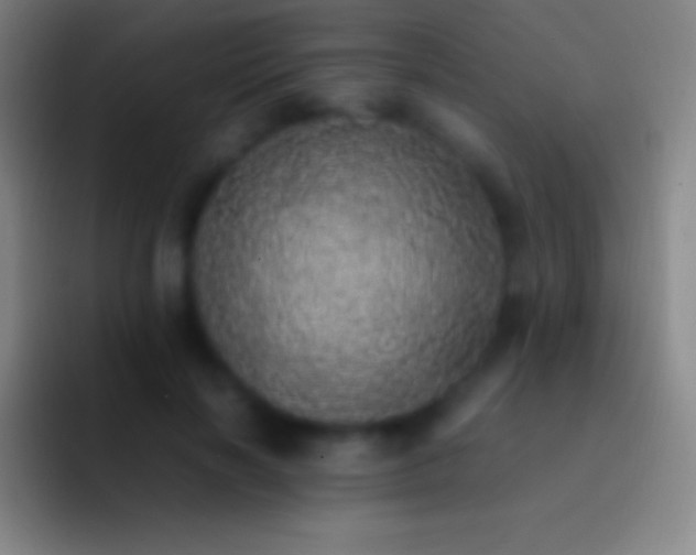 X0000092330646200709211308
