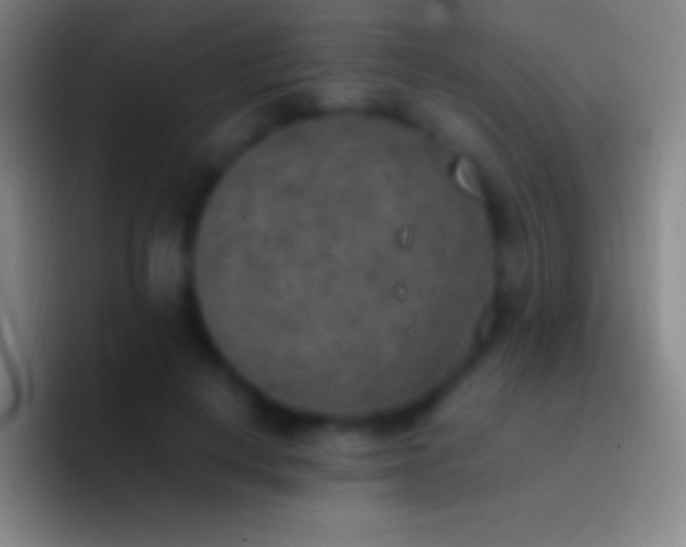 X0000092330648200709211308