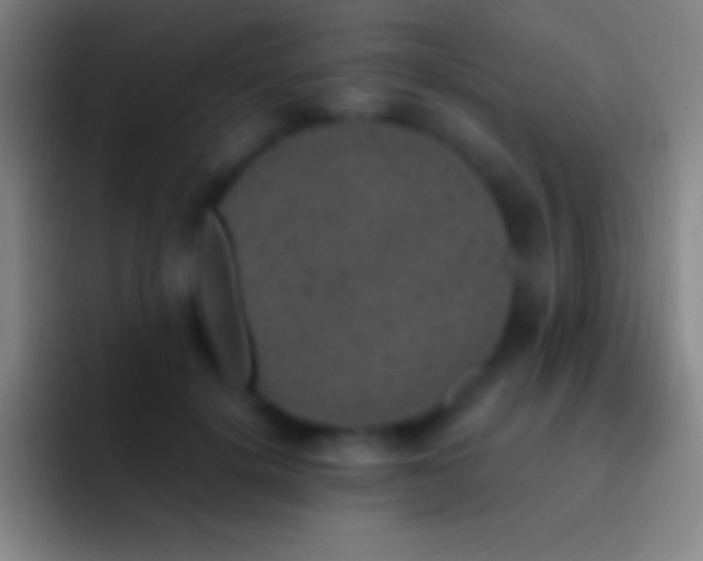 X0000092330652200709211308