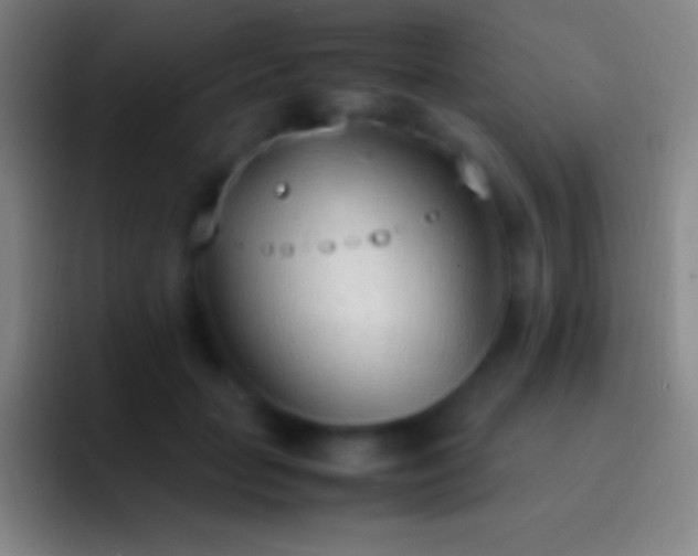 X0000092330653200709211308
