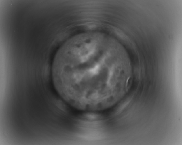 X0000092330654200709211308