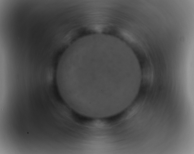 X0000092330656200709211308