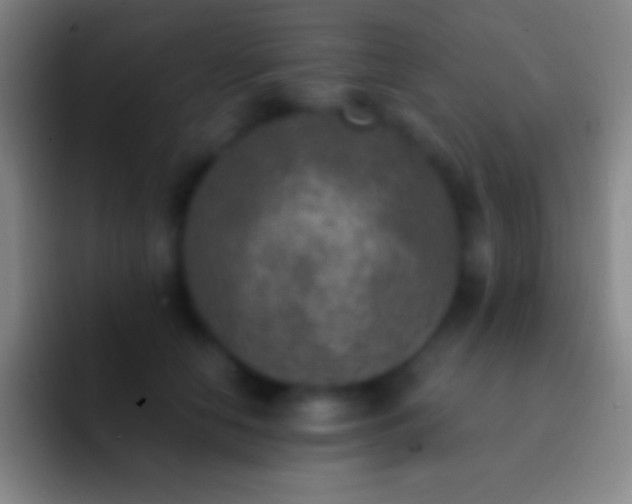 X0000092330658200709211308