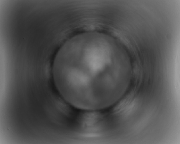 X0000092330659200709211308