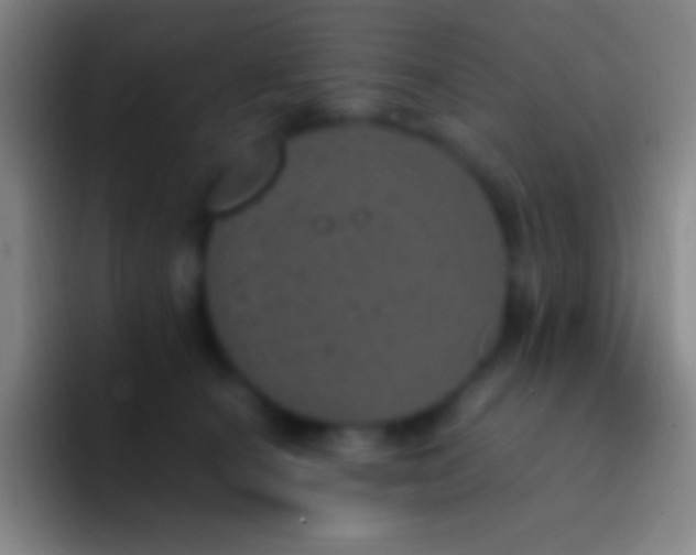 X0000092330660200709211308