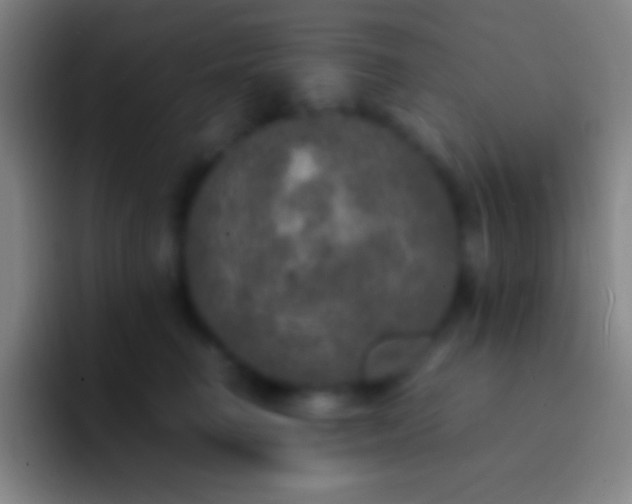X0000092330662200709211308