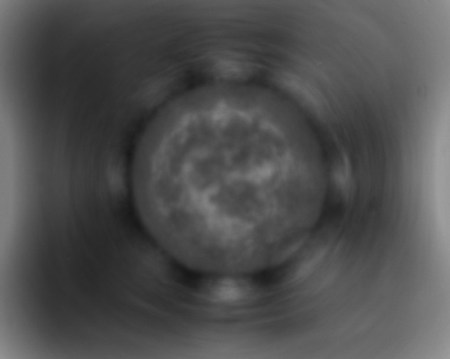 X0000092330663200709211308