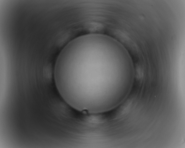 X0000092330664200709211308