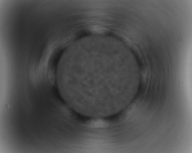 X0000092330666200709211308