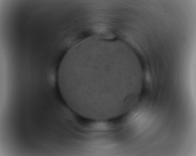 X0000092330668200709211308
