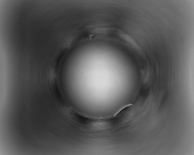 X0000092330669200709211308