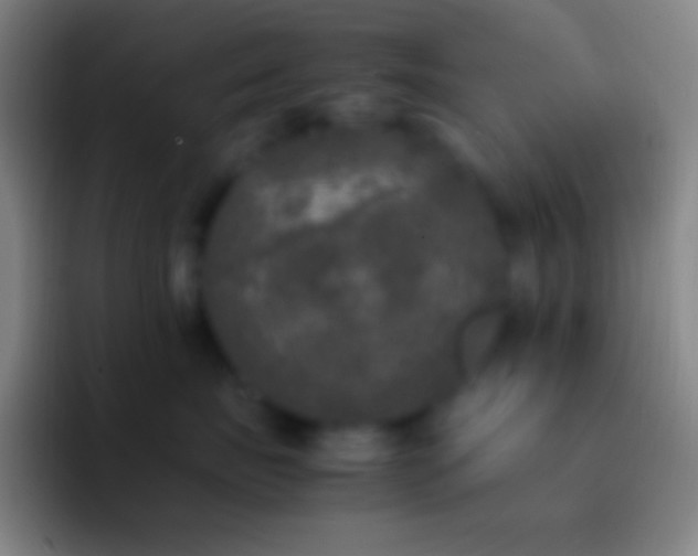 X0000092330671200709211308
