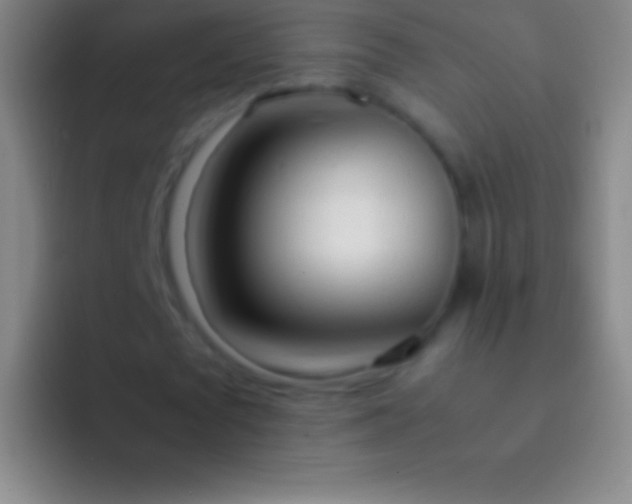 X0000092330673200709211308