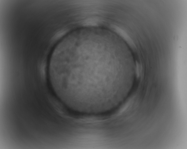 X0000092330675200709211308