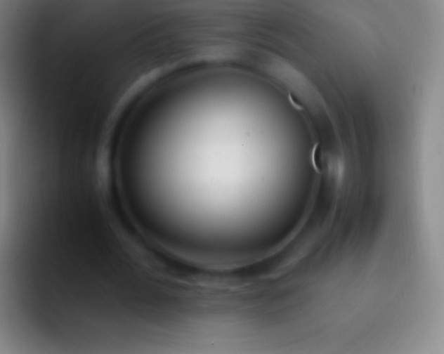 X0000092330676200709211308