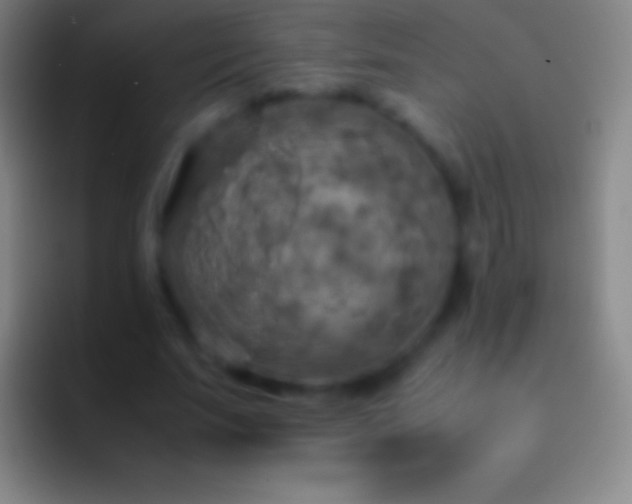 X0000092330679200709211308