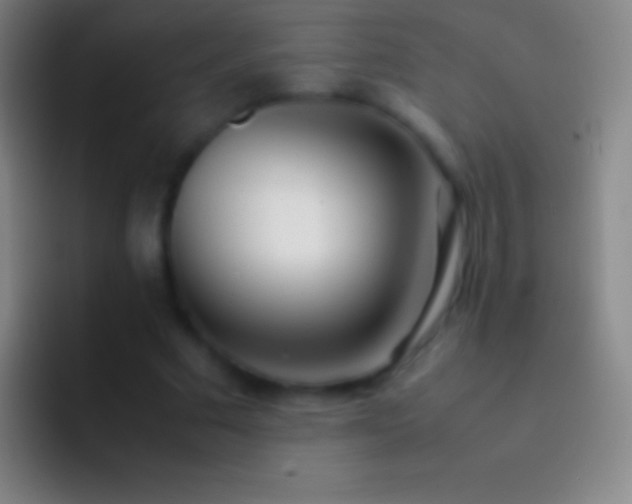 X0000092330681200709211307