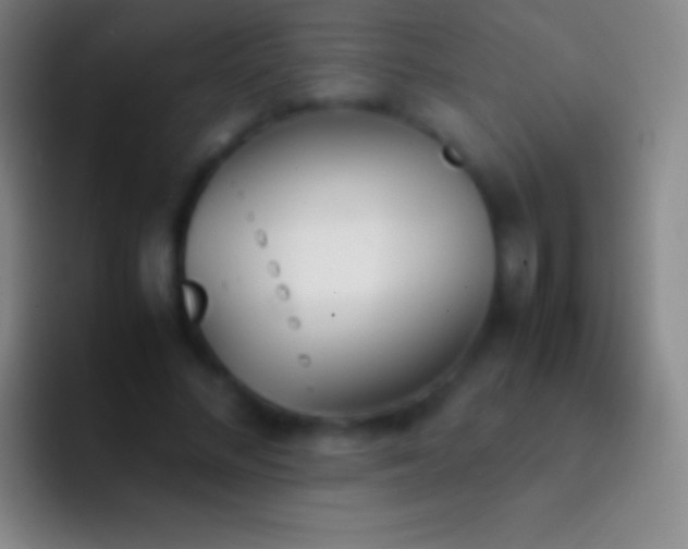 X0000092330684200709211307