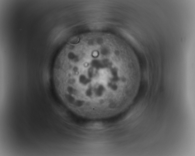 X0000092330687200709211307