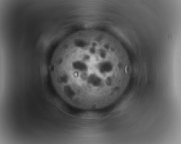 X0000092330691200709211307