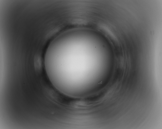 X0000092330692200709211307