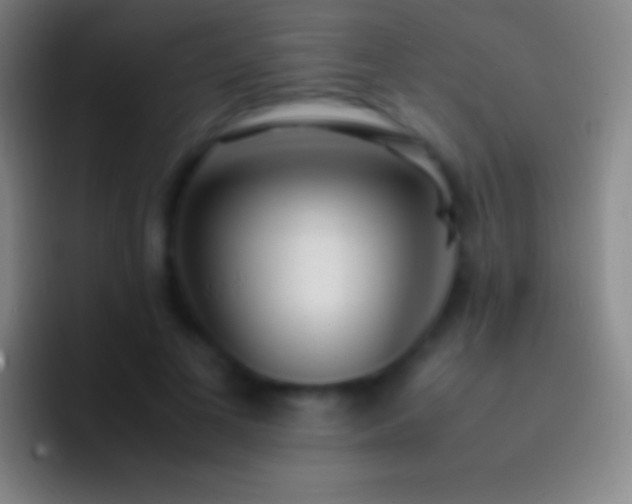 X0000092330693200709211307