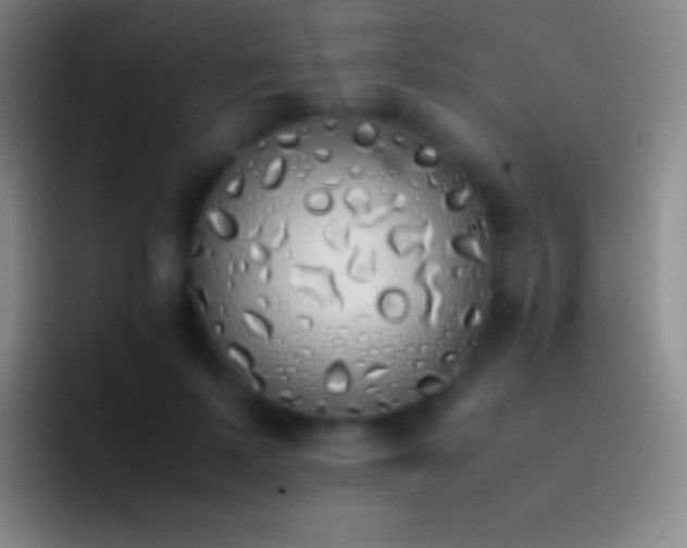 X0000092330695200709211307